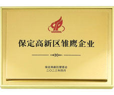 企業(yè)榮譽(yù)